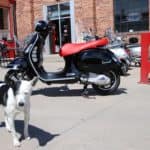 Vespa